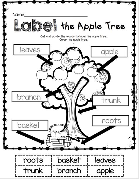 Kindergarten Labeling Worksheet