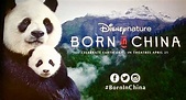 Three Wild Surprises From Disneynature's Born in China