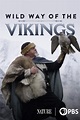 Wild Way of the Vikings (2019) Online Subtitrat in Romana - DivX Filme ...