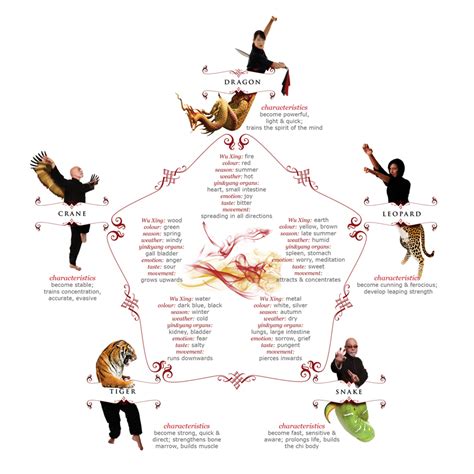 Kung Fu And Its Many Styles Infographic