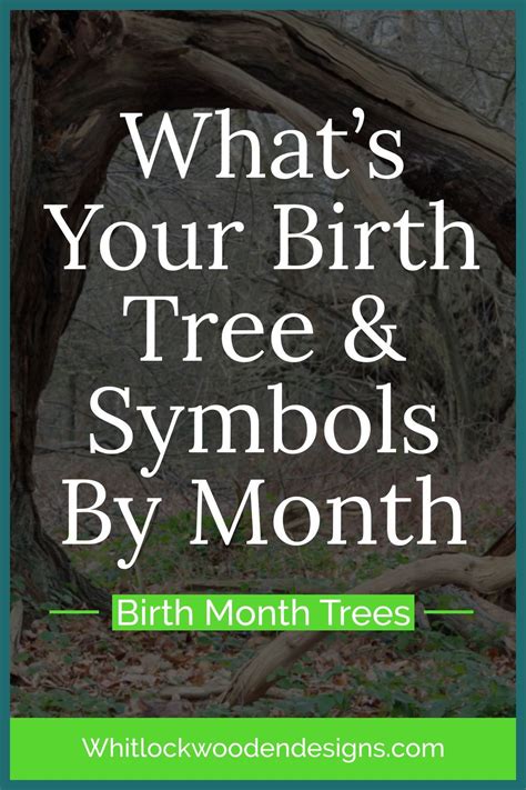 Whats Your Birth Tree And Symbols By Month Wood Birthstones Birth