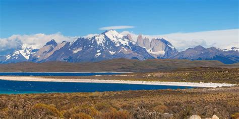 Torres Del Paine National Park Wildlife Location In Chile