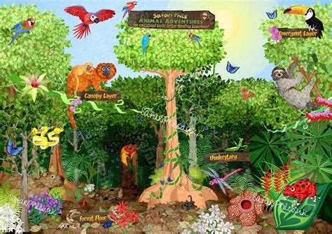 Animals In The Rainforest Layers