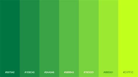 Зеленые цвета палитра и названия 39 фото
