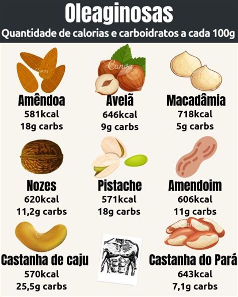 Quantidades De Carboidratos Dos Principais Alimentos Low Carb Food