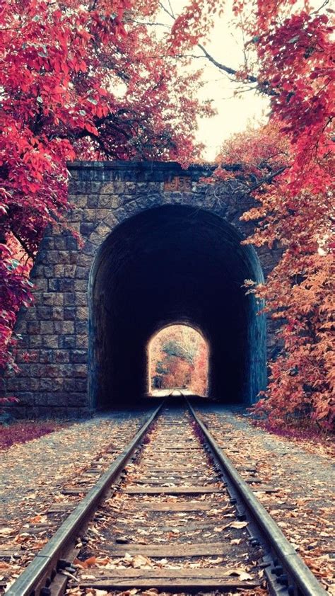 Autumn Train Tunnel Red Tree Leaves Nature Iphone