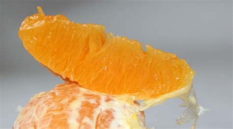 Images Gratuites Fruit Doux Fleur Orange Aliments Produire