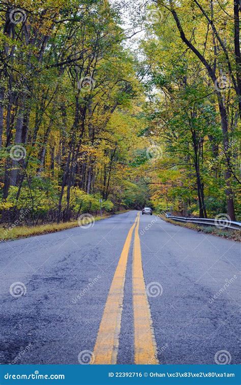 Forest Road In Autumn Stock Photo Image Of Country Leaves 22392716
