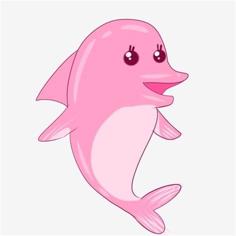 Pink Dolphin Cartoon