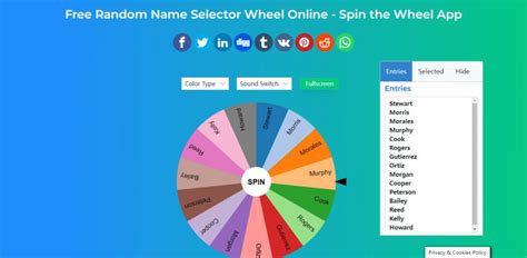 Wheel Of Names Spinner Random Name Picker Tool