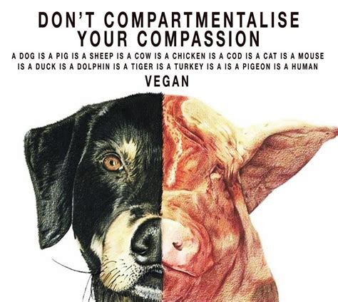 Animal Advocate Ⓥ On Vegan Animals Save Animals Animal Rescue