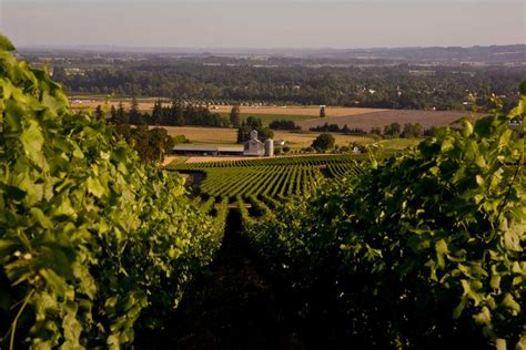 Mcminnville Oregon Boasts Over 250 Wineries All Worth Visiting