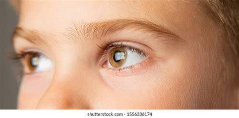 Baby Blue Beautiful Brooding Eyes Boy Stock Photo Edit Now 1556336174