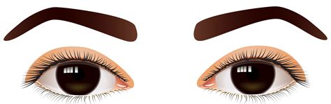 Download Brown Eyes Clipart For Free Designlooter 2020 👨‍🎨