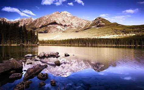 Gray Mountain Lake Mountains Bottom Wood Mirror Reflection Hd