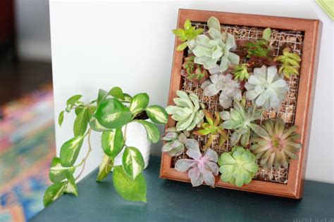 This wooden indoor planter box constitutes a great example of a solid, natural diy construction. Vertical Garden - DIY Succulent Wall Planter