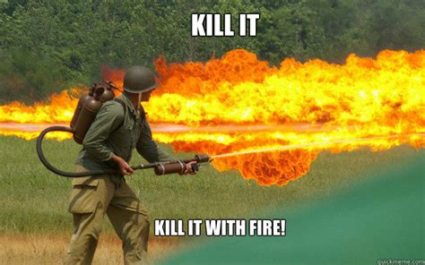 Kill It Kill It With Fire Misc Quickmeme