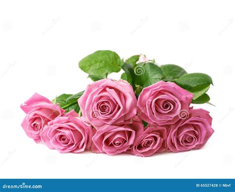 Bouquet Of Pink Roses Isolated Stock Photo Image Of Birthday