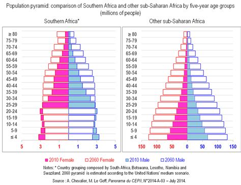 cepii growth and population dynamics in sub saharan africa