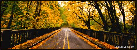 Free fall facebook covers for timeline, pretty autumn season. Autumn Graphics Picture: Autumn Facebook Pics