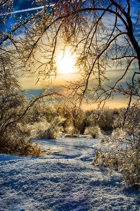Winter Sunrise By Ryancrane Winter Landscape Winter Scenery