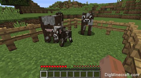 How To Breed Cows In Minecraft