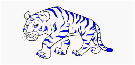 How To Draw Cartoon Tiger Drawing Bengal Tiger Cartoon Hd Png