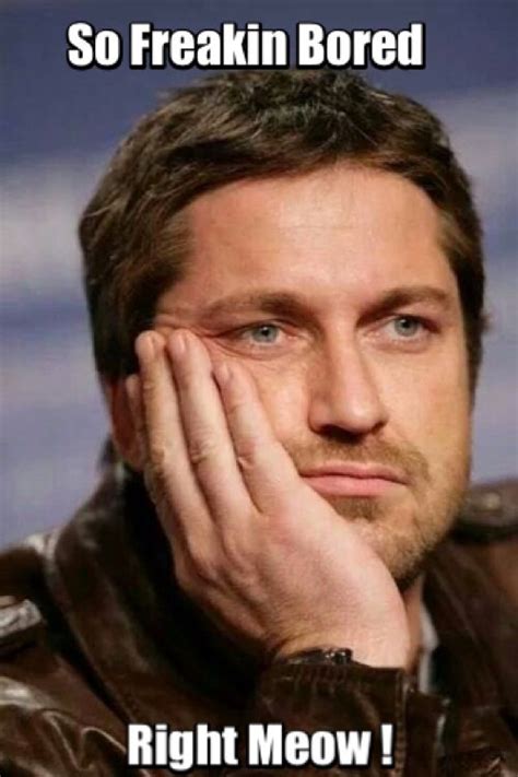 17 Best Images About Gerard Butler Mixed Up Memes On Pinterest Pole Dancing Funny Exam