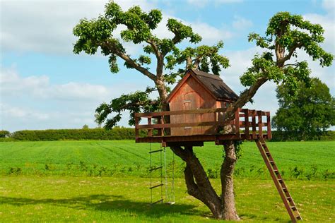 Casa En El árbol ¿cómo Fabricar Una Okupa Tú También