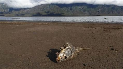 U De Chile Filma Documental Sobre Escasez De Agua Para Netflix La