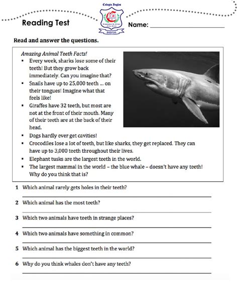 1st Reading Test 5th Grade Worksheet