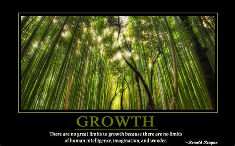 Inspirational Work Quotes Growth Quotesgram