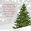 bible verses about trees and plants - Noe Davenport