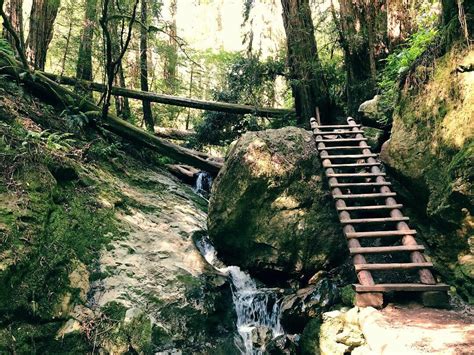 Steep Ravine Trail Mt Tamalpais Rbayarea