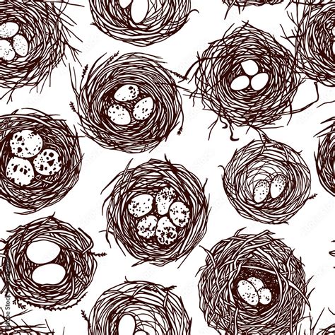 Hand Drawn Nests Pattern Stock Vektorgrafik Adobe Stock