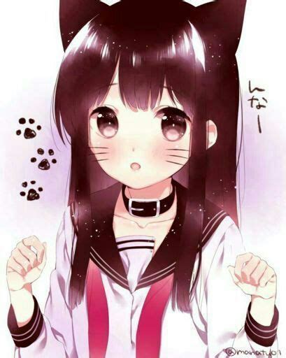 Hablemos De Gatos Parte 2 Anime Amino