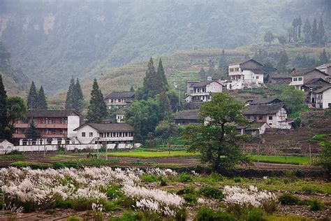 Traditional Chinese Countryside By Alice Nerr Rural China Stocksy