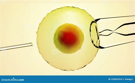 Artificial Fertilization Assisted Fertilized Cell Ovum Artificial