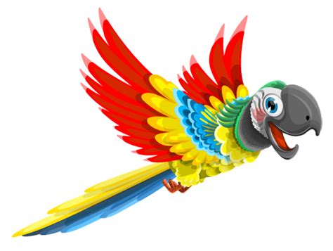 Clipart Collection Parrot Png Transparent Background Free Download Images