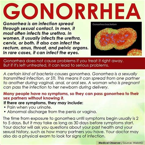 Gonorrhea Is Best Described As A Sexually Transmitted Infection