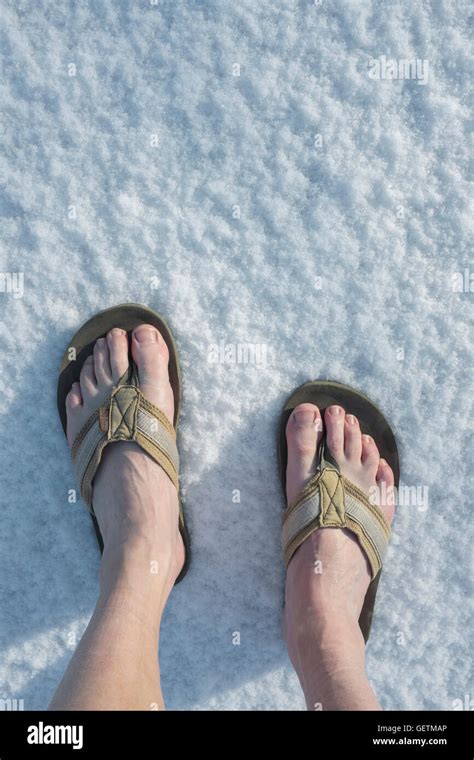 Bare Feet In Flipflops In Snow Stock Photo Alamy