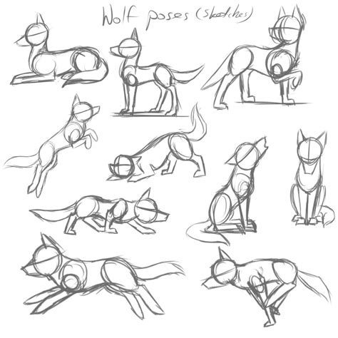 Poses Wolf Laying Down Drawing Bocetos Zeichnung Gatos Tutorial