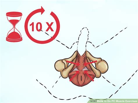 how to do pc muscle exercises 11 steps with pictures wikihow