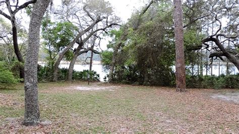 According to the national forest service, ocala national forest has more than 600 lakes where visitors can see many wild birds, alligators and manatees, and even black bears in this remote area of the state. Camping in 'Ocala National Forest' - YouTube