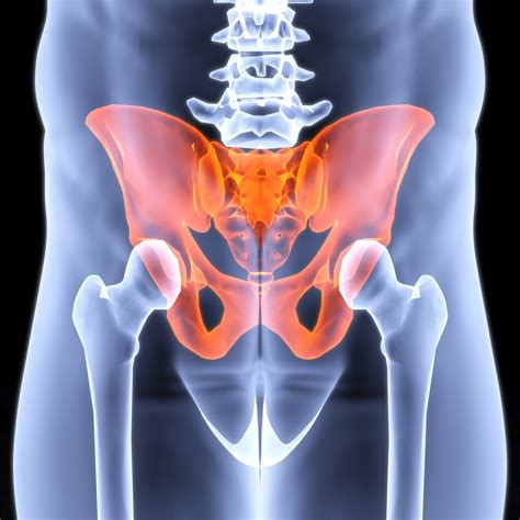 Sint Tico Imagen De Fondo Imagen De La Pelvis Femenina Lleno