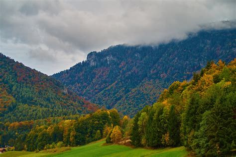 Germany Mountains Forests Autumn Trees Inzell Nature