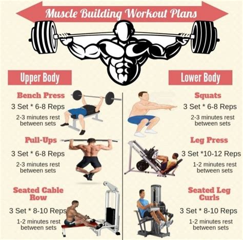 Muscle Building Muscle Building Workout Routine For Men