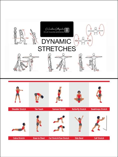 Dynamic Vs Static Stretching Dr Anastasia Orthopaedic Surgeon And