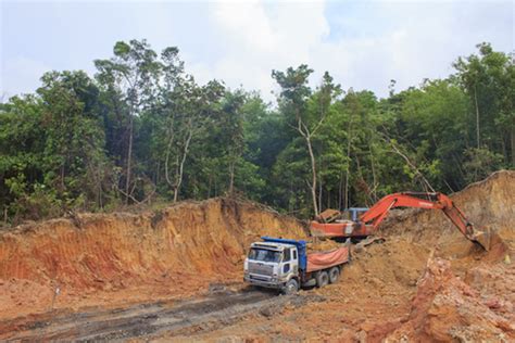 Palm Oil Company Revs Up Deforestation In Malaysia News Eco
