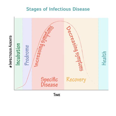 Immunology Microbiology Glossary Stages Of Infectious Disease